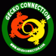 Gecko_Connection