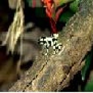 fitzy103