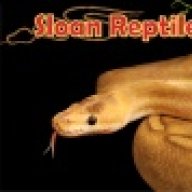 sloanreptiles