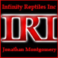 InfinityReptiles