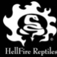 HellFire