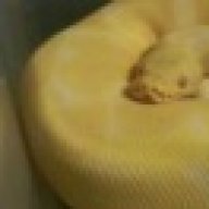 The Python Lab