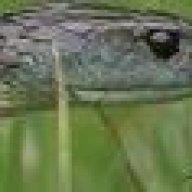 ssssnakeman