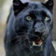 xPantherx