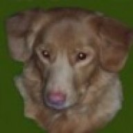 nsducktoller