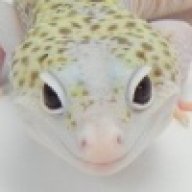 RampantReptiles