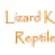 LizardKing8