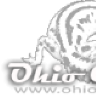OhioGecko