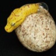 mguzman