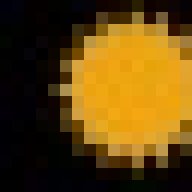sunshineroaches