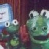 crazygecko
