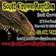 ScottCrowe