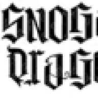 Snogard Dragons