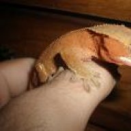 Ralphieeeee