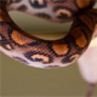 bonnieb