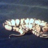 serpentor09