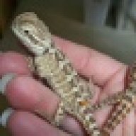 EMBReptiles