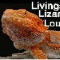 Livingston Lizard Lounge