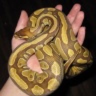 SlytherLyn