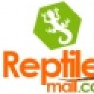 reptiles-mall