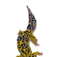 ChaoticNightsReptile