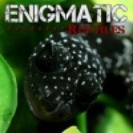 Enigmatic_Reptiles