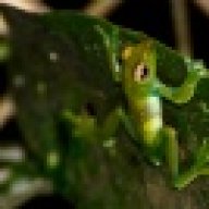 Bioteacher