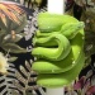 GreenCountryHerp