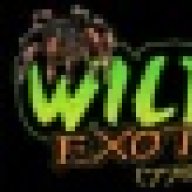 wildsideexotic