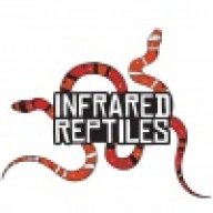 InfraredReptiles