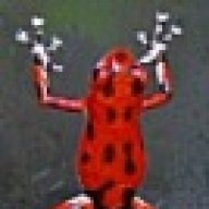 bickell