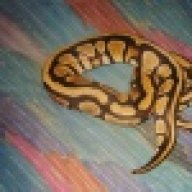 OakRidgeSnakes