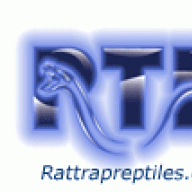 rattrapreptiles