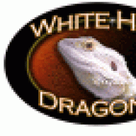 whitehotdragons