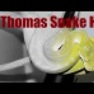 ThomasSnakeHouse