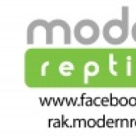 ModernR