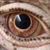 fstenuf