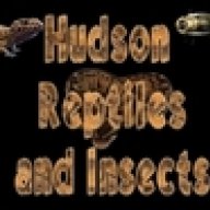ehudson