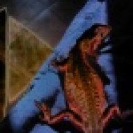 MrsKillgo