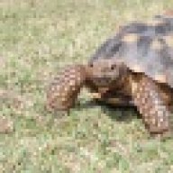 kathyth
