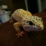 nerk2486