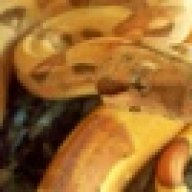 Light House Reptiles Inc.