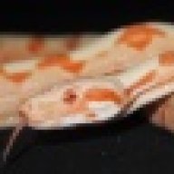 riemermorphs