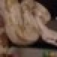 the_reptilian