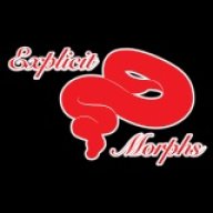 Explicit Morphs