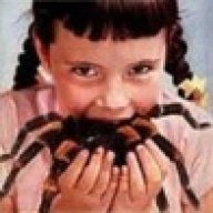 NETBUG