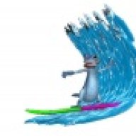 Surfing Geckos