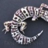 snakeking27