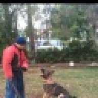 Schutzhundmike