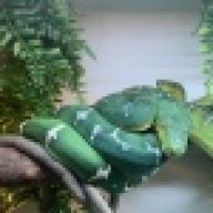 Aquaherp